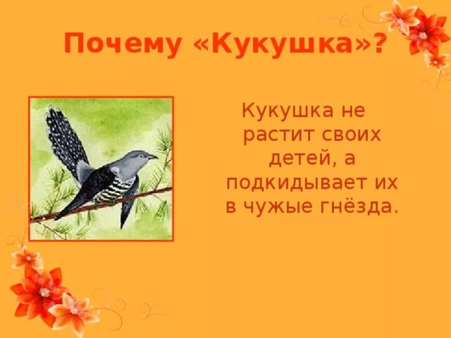 Почему кукушка кукует