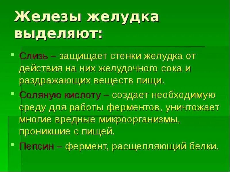 Слизистая желудка выделяет. Железы желудка. Железы желудка выделяют. Слизь выделяемая стенками желудка. Железы желудка выделяющие желудочный сок.