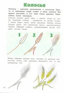 Рисование колоса в подготовительной группе