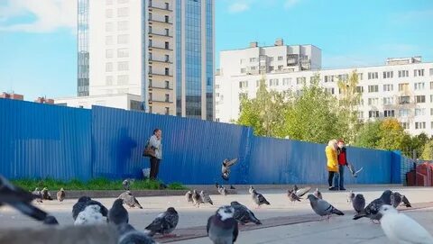 Тц голливуд открытие