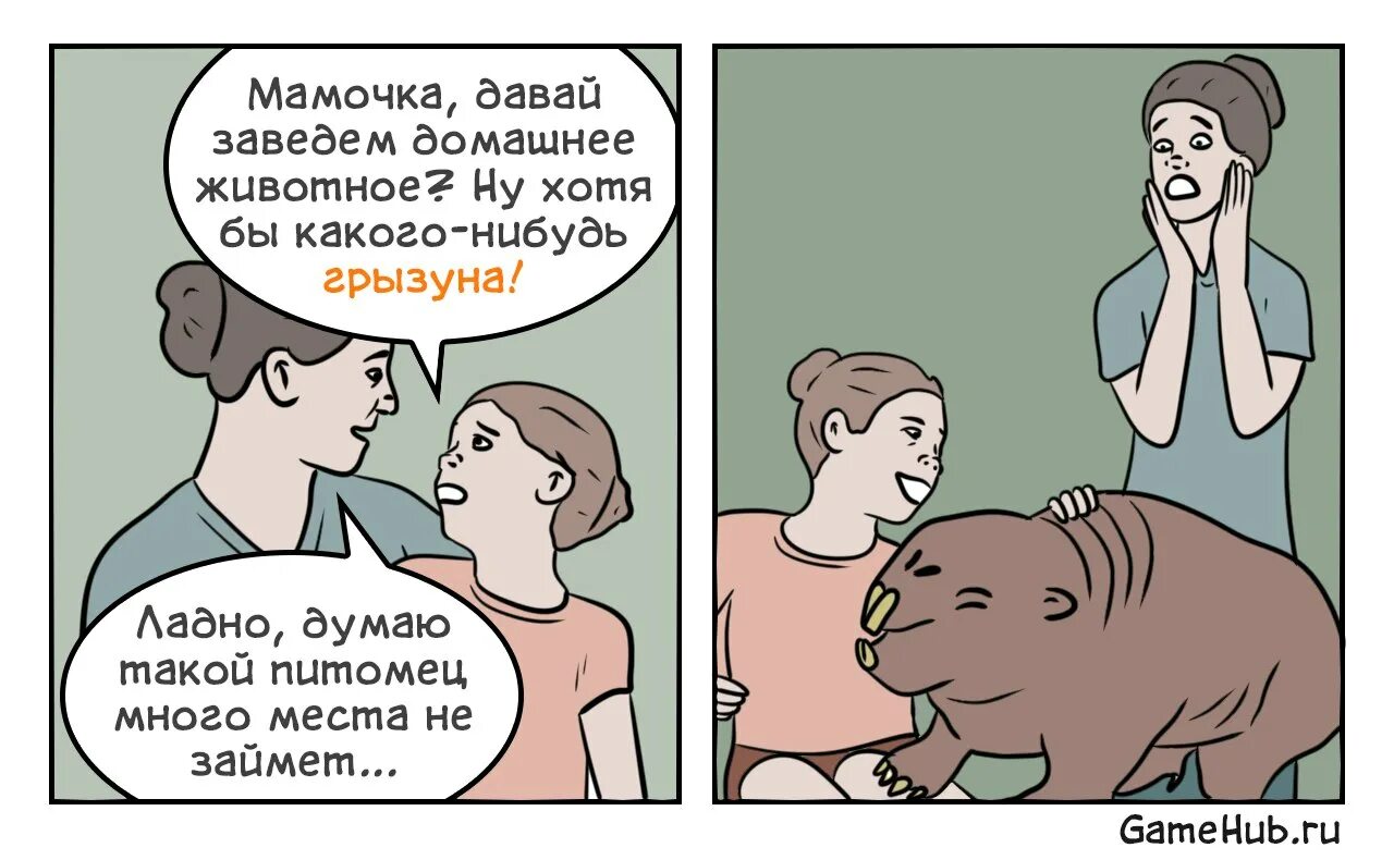 Завести информацию