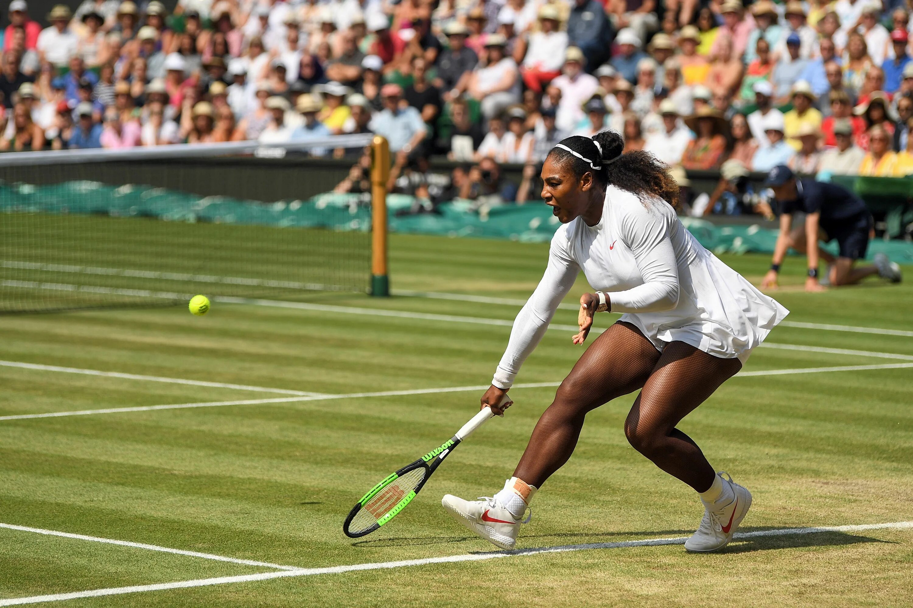 Теннис прямые трансляции матчей. Wimbledon 2018. Wimbledon 2018 Corts.