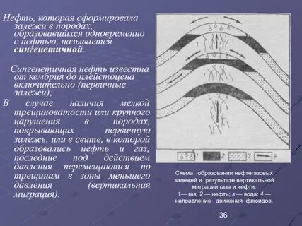 Залежь
