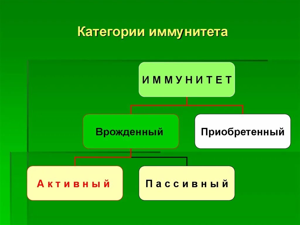 Иммунные растения. Иммунитет растений. Категории иммунитета растений. Теория иммунитета растений. Пассивный и активный иммунитет растений.