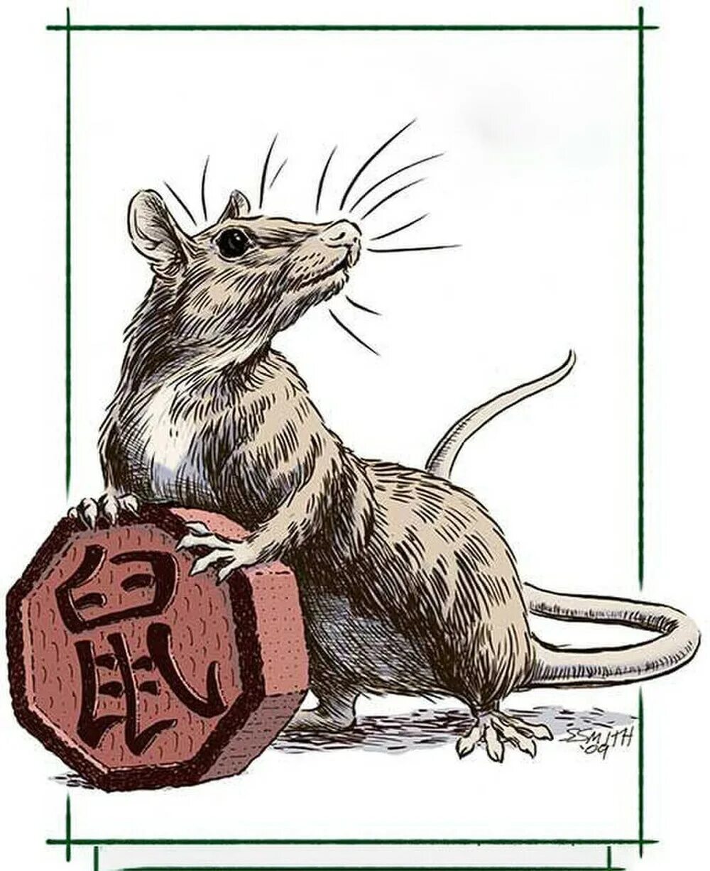 Зодиак крыса. Крыса китайский Зодиак. Огненная крыса. Тату крыса. Гороскоп крысы на апрель 2024