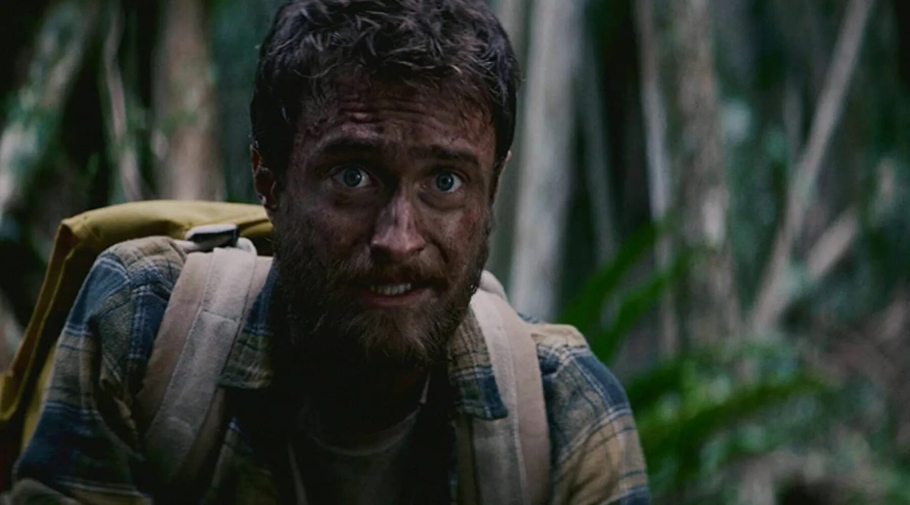 Jungle movie
