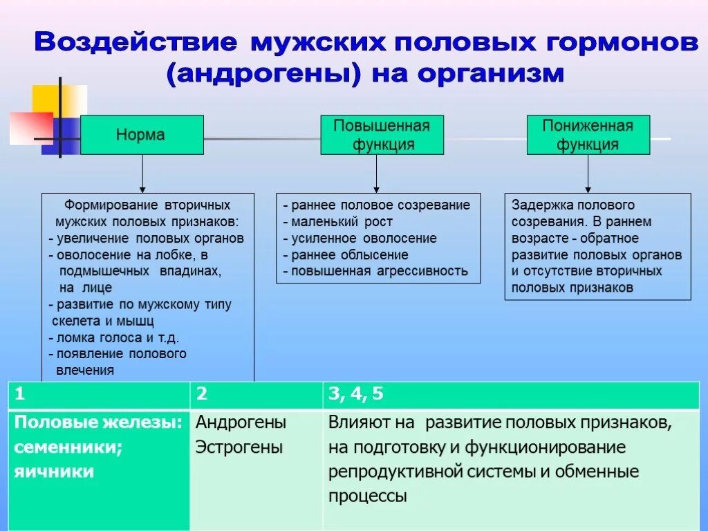 Половые гормоны влияние. Влияние половых гормонов. Функции мужских половых гормонов. Влияние гормонов половых желез на организм.