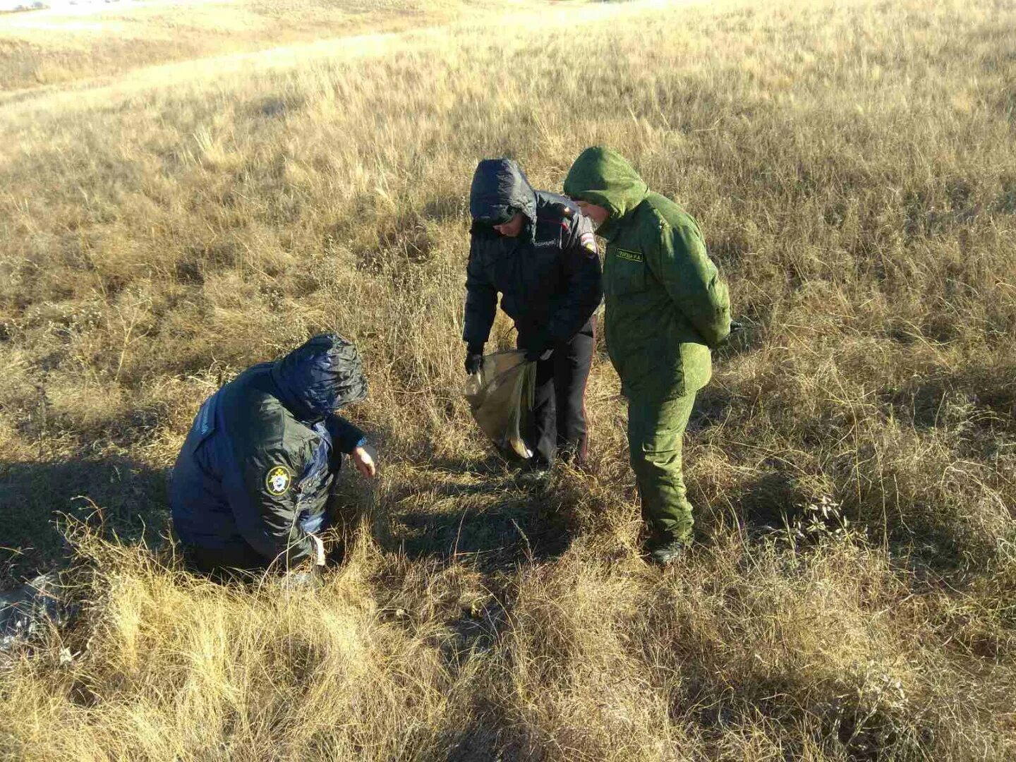 Пропали новости на главной странице. Останки пропавших людей. Останки людей, пропавших в лесу.