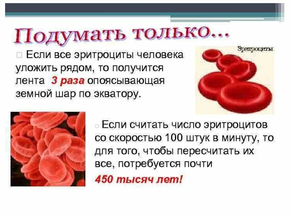 Состав эритроцита человека. Эритроциты строение и функции. состав эритроцитов крови человека. строение эритроцитов в крови человека. строение, форма, функции и свойства эритроцитов..