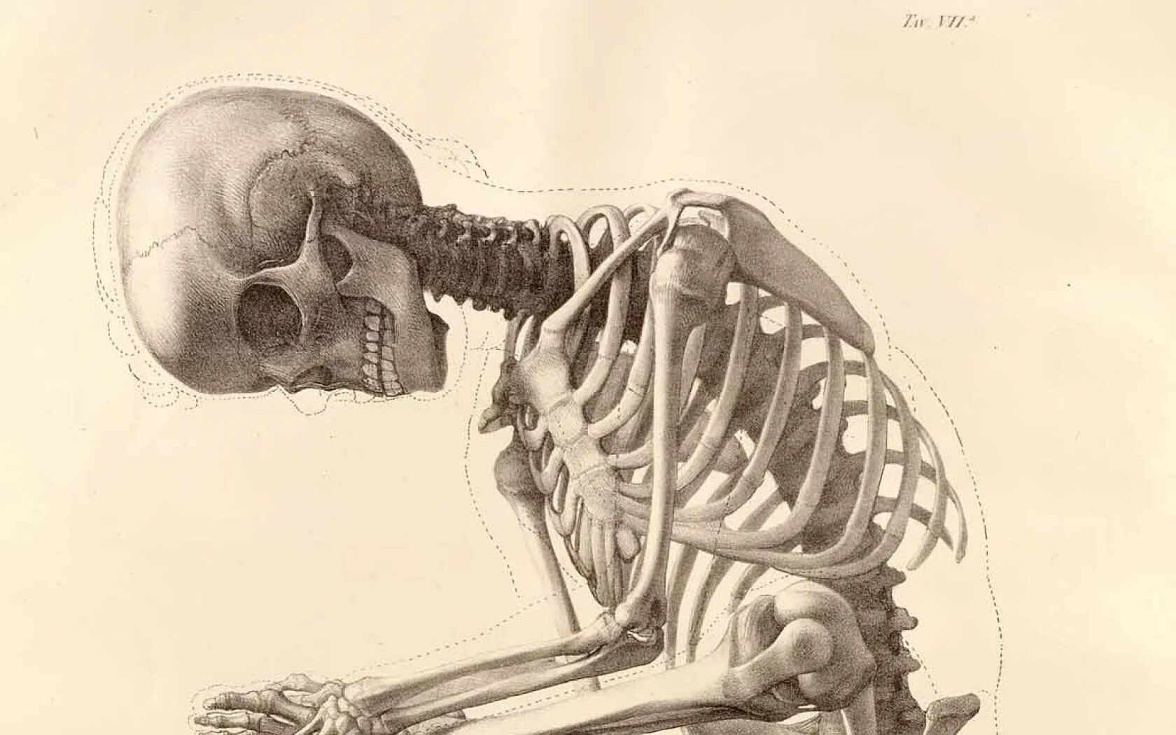 Bone art