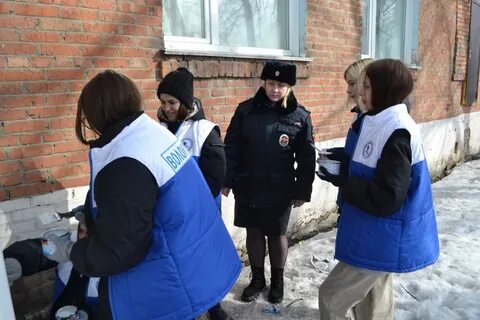 Волонтеры провели