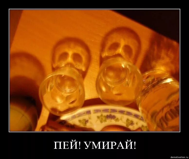 Я пью и писаю реклама. Демотиватор не пью. алкоголь мотиваторы. демотиваторы пить. на здоровье выпить.