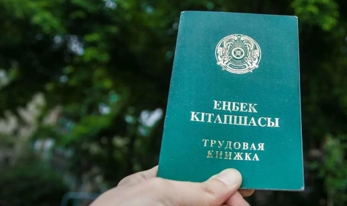 Енбек кодекс 2025