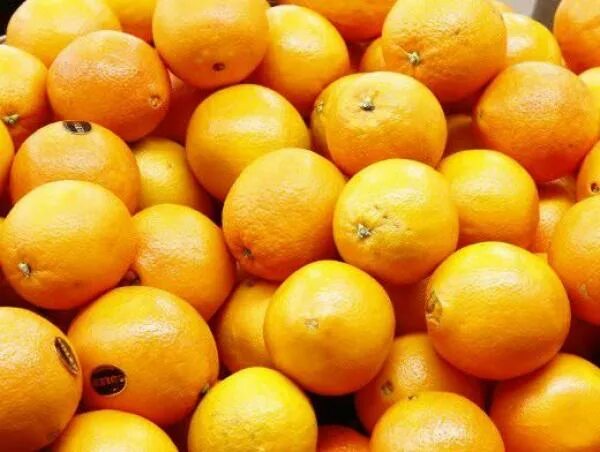 Вес мандарина 1 шт. Вес одного апельсина. Мандарин средний вес 1 шт. Апельсин грамм. Средиземноморская плодовая муха цитрусовые.