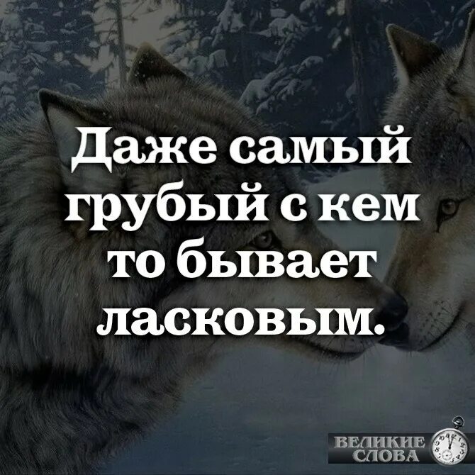 Вытирать об себя ноги. Какой самый грубый. Смешной немецкий язык. Даже самый злой человек с кем то бывает добрым. Флорентийский кальчо.