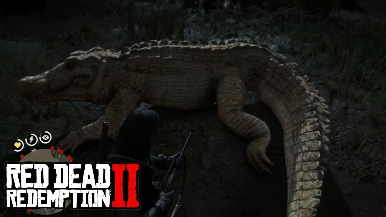 Легендарный аллигатор rdr 2. Red dead redemption 2 legendary alligator. red dead redemption 2 легендарный аллигатор. легендарный крокодил rdr 2.