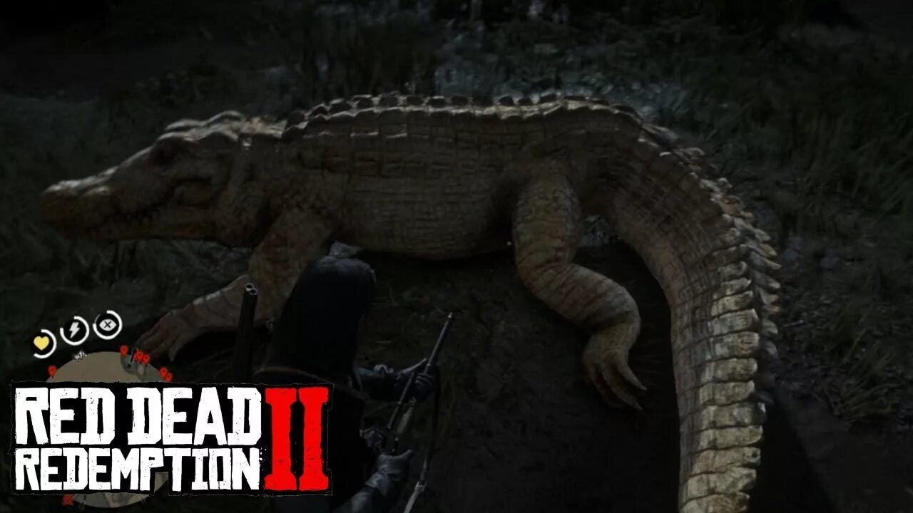 Легендарный крокодил rdr 2. РДР 2 легендарный Аллигатор.