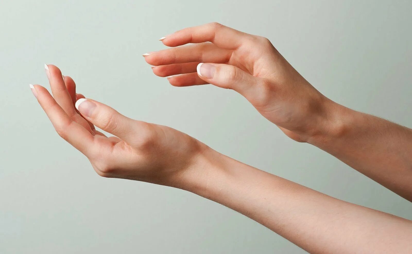 Presentation hands