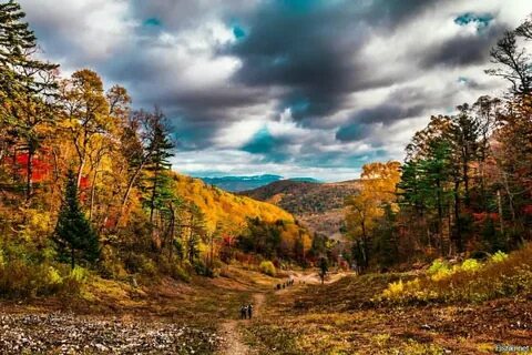 Осень край