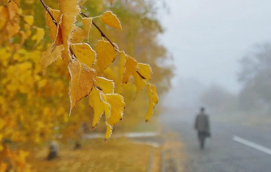 Запах листьев осенью. Проводы осени. Фотосессия проводы осени. Проводы осени позитифф. 1 Ноября праздник Иванов день.