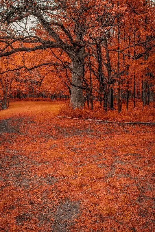 Dusk Beautiful landscapes, Maroon aesthetic, Nature photography