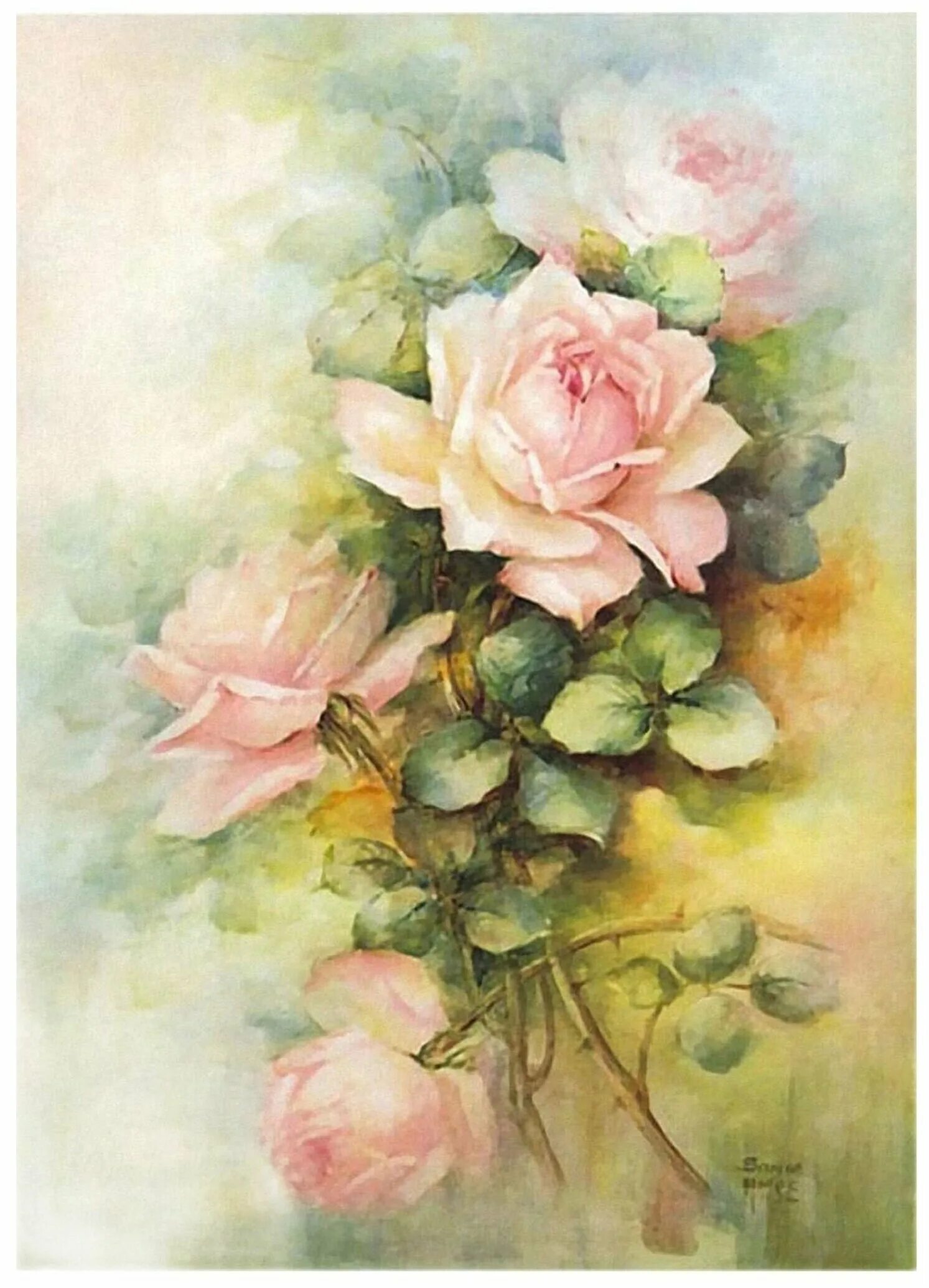 цветы для декупажа для печати. художник sonie ames. художник sonie ames. цветы для декупажа. редуте пьер-жозеф картины.