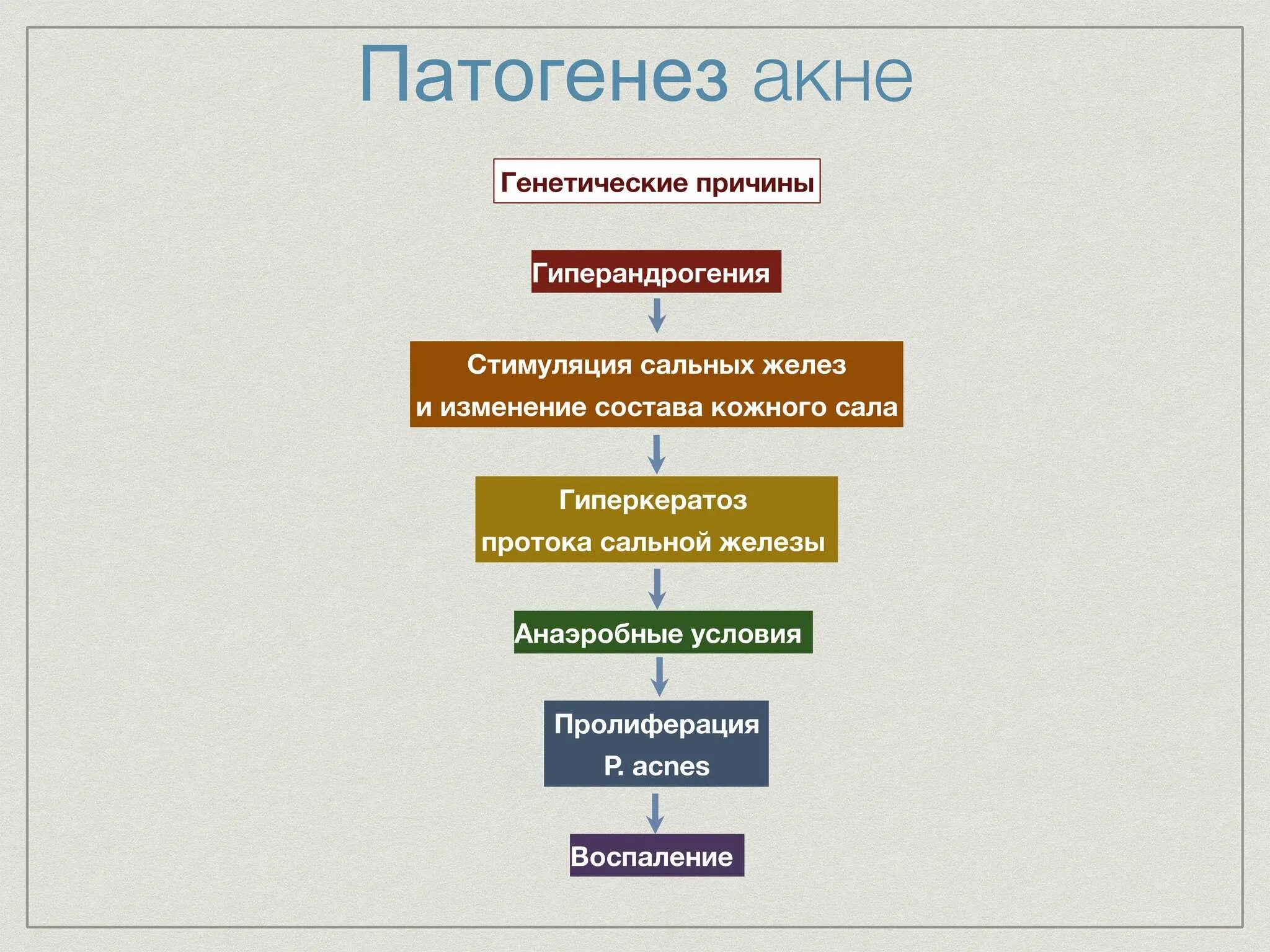 Этиология сыпей. Патогенез угревой болезни схема. Механизм развития угревой сыпи. Патогенез развития акне. Угревой сыпи патогенез.