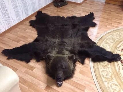 Куда деть шкуру медведя