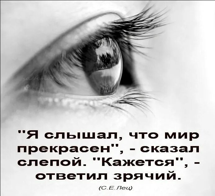 Я слышу мир сердцем. Ухо живопись. Я слышу мир сердцем. Нежные чувства. Разговор с его душой.