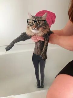 Мем мокрая