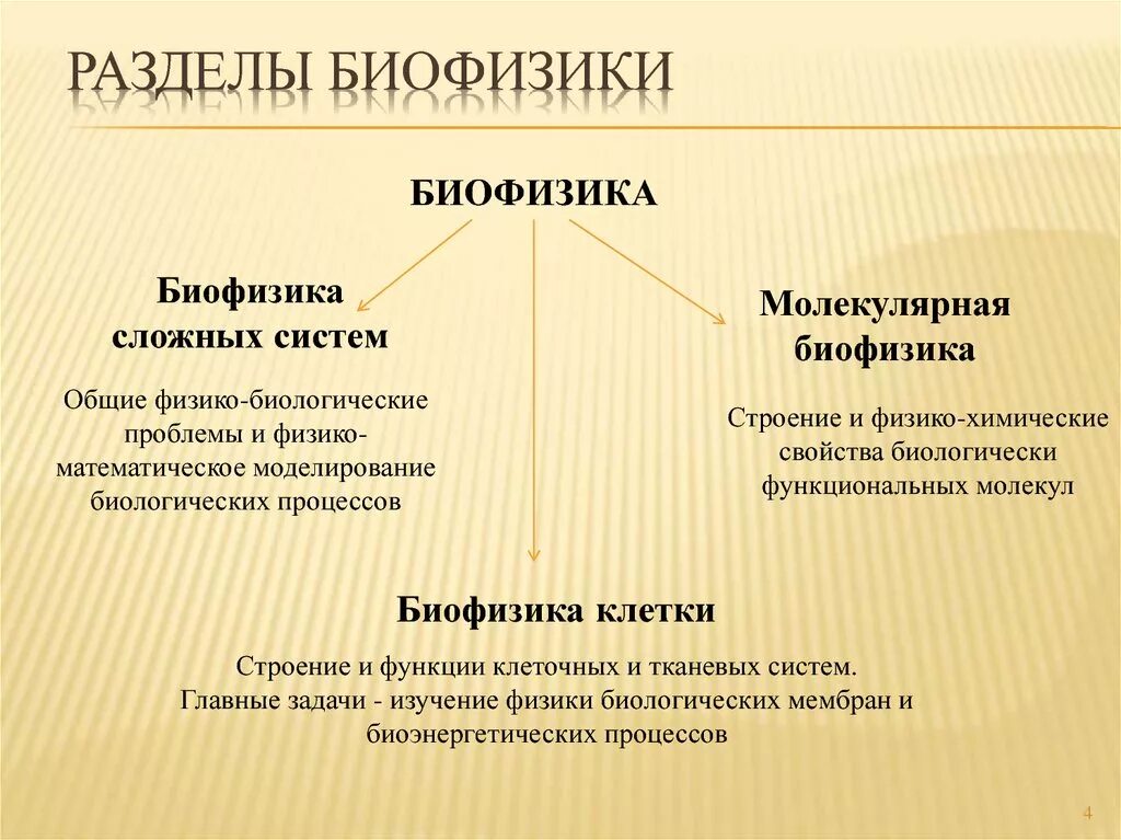 Биофизика сайт