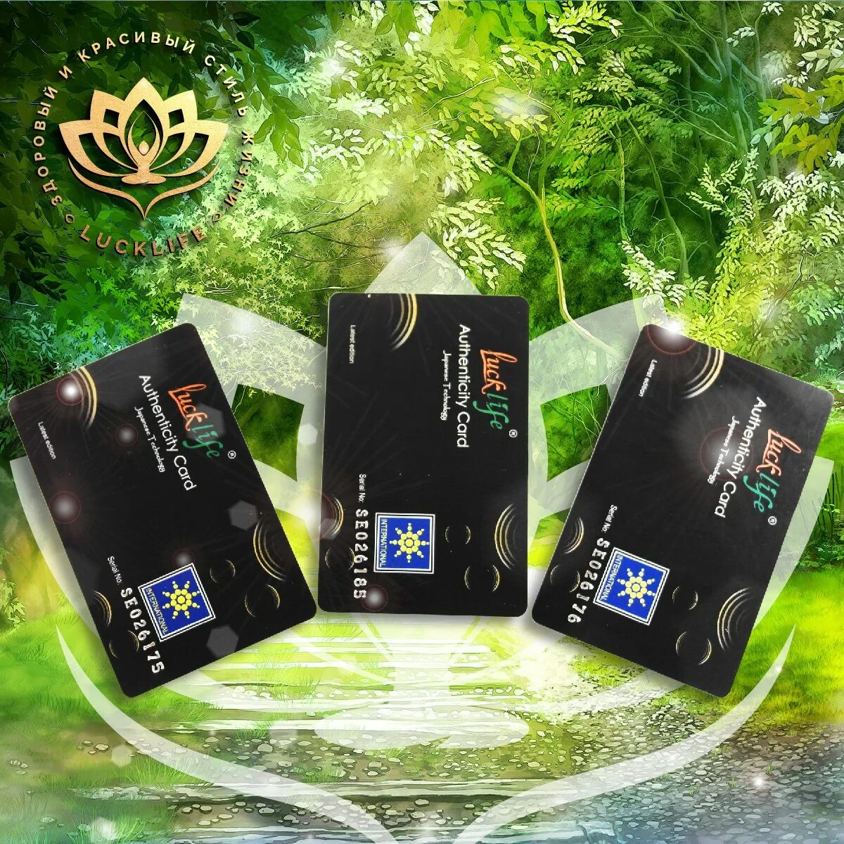 Энерго карты. Аура цвета индиго. Энергокарта расшифровка. Энерго гармонизатор. Республика бурятия на карте.