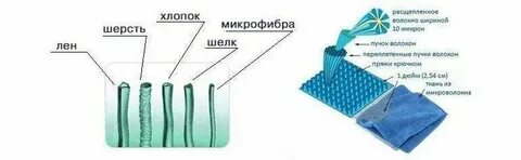 Какие компоненты тканей