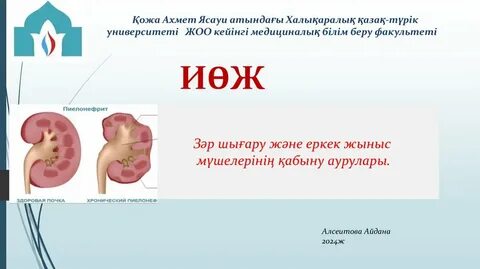 Жыныс мүшелерінің, қынапшалардың және кискалардың фотосуреттері