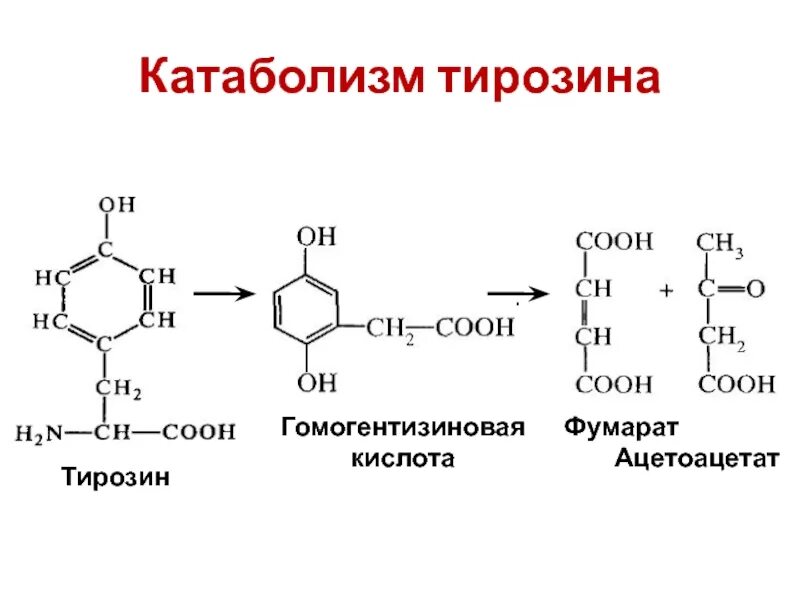 Тирозин строение. Гомогентизиновая кислота Синтез. Реакция миллона на тирозин. Тирозин реакции. Селен тирозин