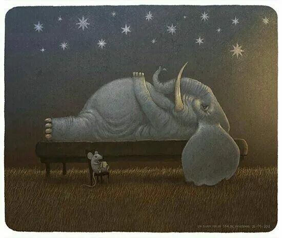 Сон со слоном. Сон со слоном. Спящий слоник. Спокойной ночи слоник. Спящий слоник.