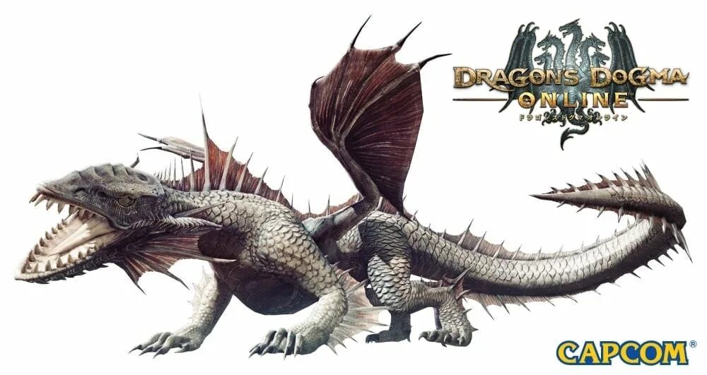 Сказание о нищем драгон догма 2. Dragon's Dogma. Dragon's Dogma 2 дракон. Dragon's Dogma 2 красный дракон. Драконы дома дракона Рейнерис.