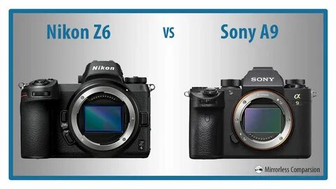 Сравнение nikon