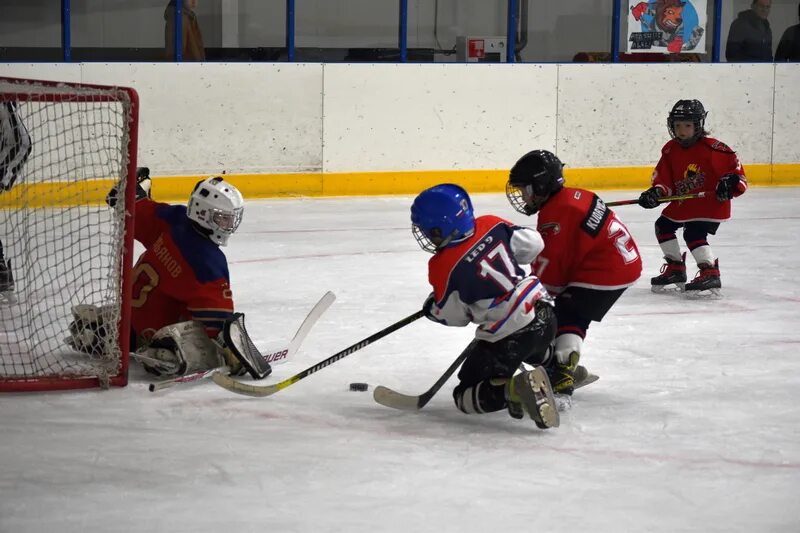 город шахунья фок. шахунья фок каток. калинин владимир хоккей. команда атлант шахуньи хоккей. шахунья спорткомплекс атлант.