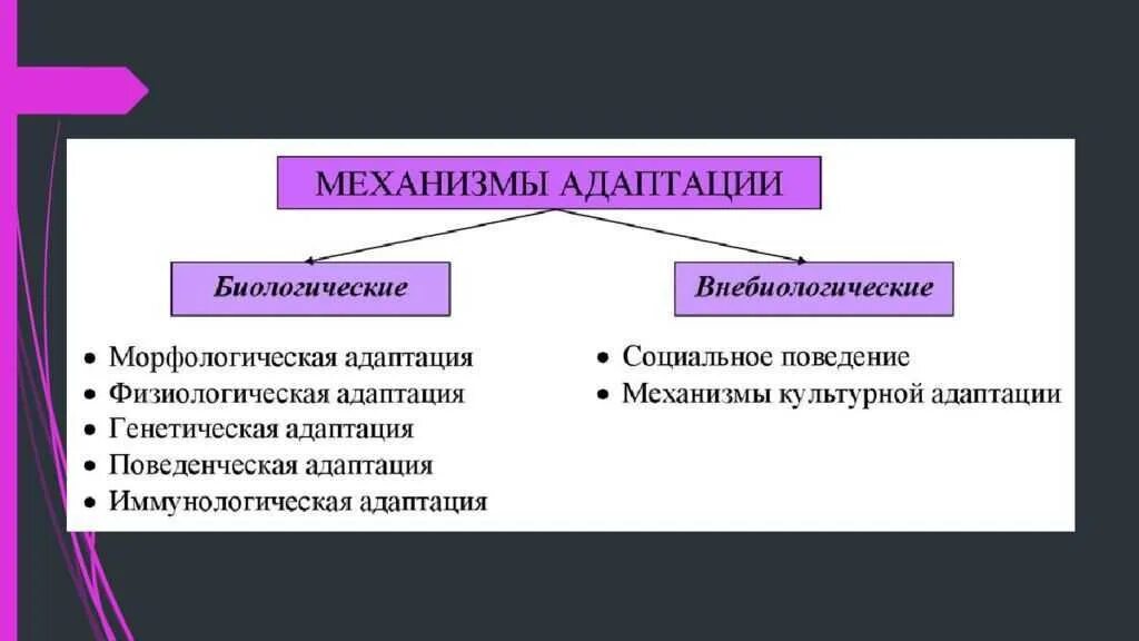 Адаптация и ее биологическое значение