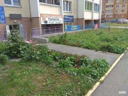 Сельская 35