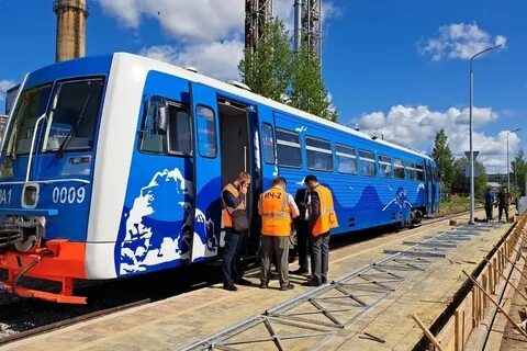 Нерпочка сортавала