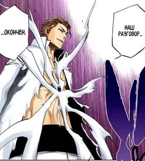 True hogyoku type soul