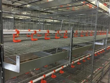Клеточное оборудование
