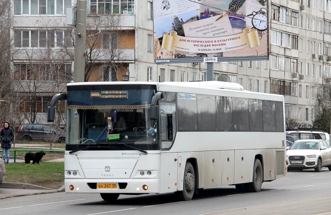 Автобус 452 кунцевская звенигород. ГОЛАЗ 525110. ГОЛАЗ 525110 881. ГОЛАЗ-525110-11 "Вояж". ГОЛАЗ-525110-11.