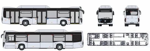 Үлкен қара әтештер камминг