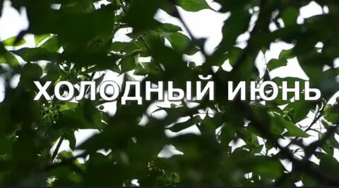 Холодный июнь
