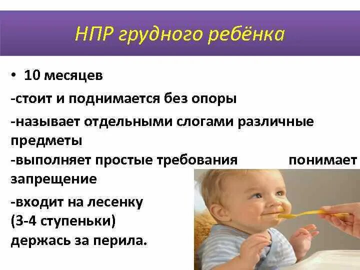 Развитие ребенка в 10 лет. НПР ребенка 10 месяцев. Нервно-психическое развитие детей в 10 месяцев. Что должен уметь ребёнок в 10 месяцев. 1 Месяц ребенку нервно психическое.