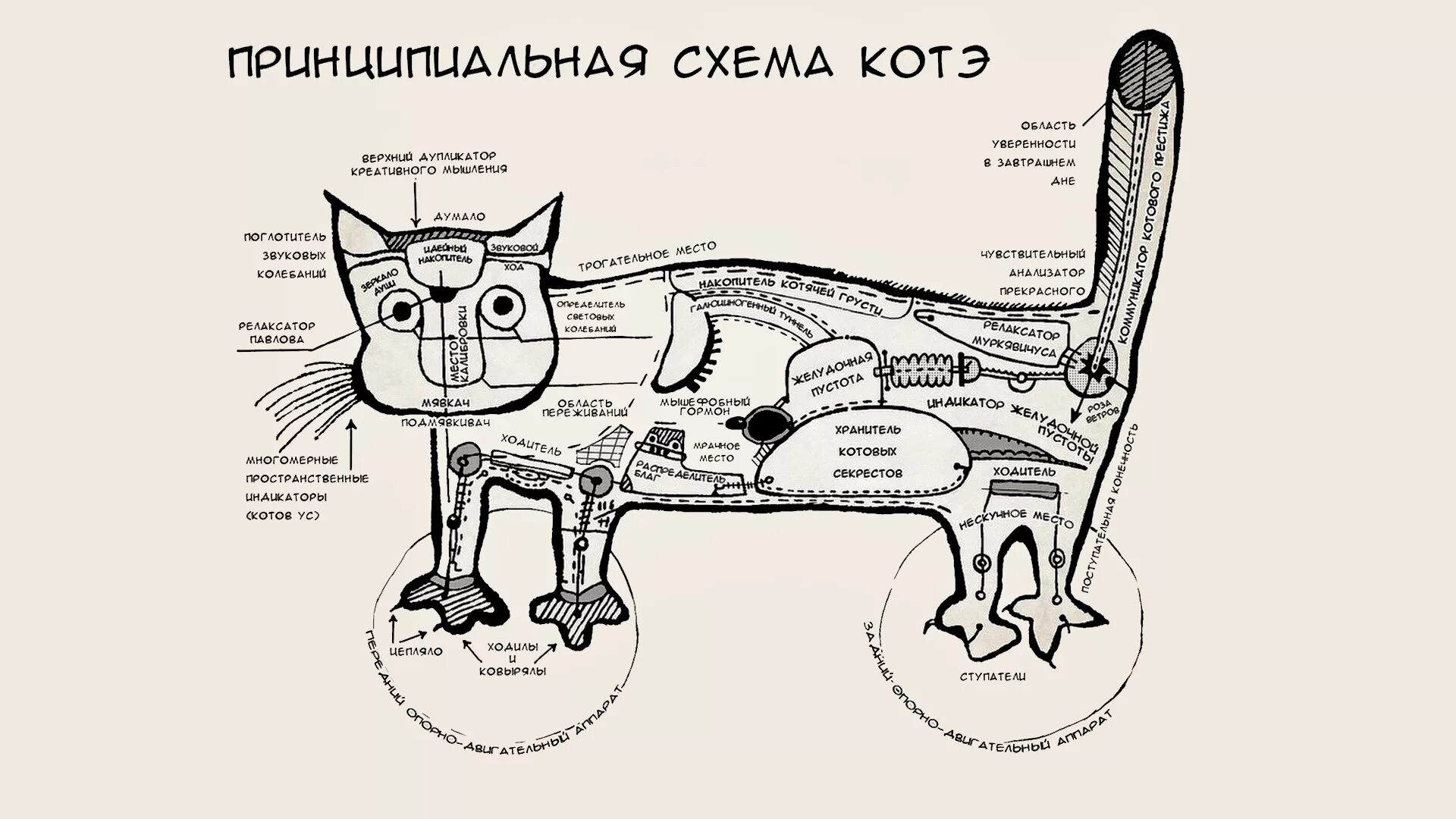 С точки зрения собаки. Принципиальная схема кота. Схема котэ. Принципиальная схема котэ. Смешные чертежи.