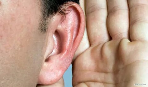 His ear